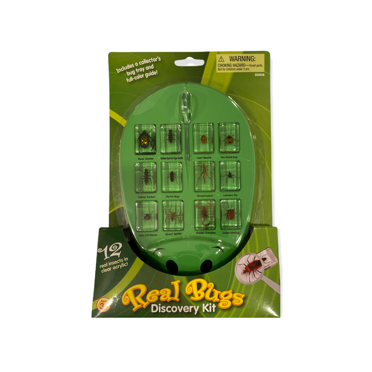 Lakeshore Real Bugs Discovery Kit URITORIA